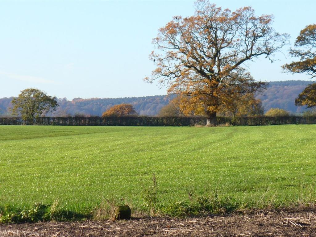 New Hall Farm Ellesmere Port Eksteriør billede